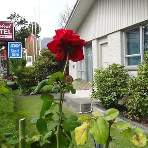 https://admiral-motel.top-hotels-christchurch.com